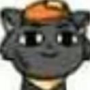 小灰狼