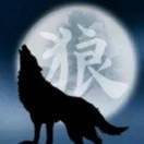 狼🐺王