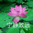 平均1毛起