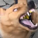 姝极