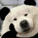 哈哈