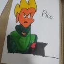 Pico