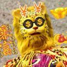 拥有%不曾拥有cium