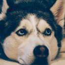 半醉半醒半浮生