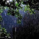 听雨