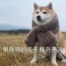 憧憬