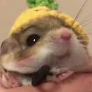 N次方