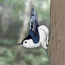 X