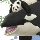 轶灰