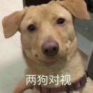 咸鱼