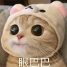小尼酱