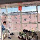 A发福的小伙子
