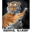 痴