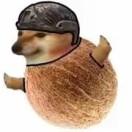 Coconut