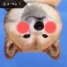 倒了