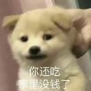 笑着活下去