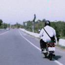 M.