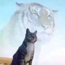 ღ暮枫᭄ꦿ࿐