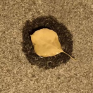 方寸