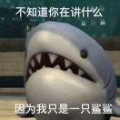 两面包夹鲨鲨
