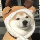 Zhu