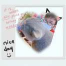 实力至上的绫小路