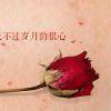 《爱的主宰》