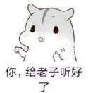 阿琦