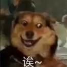 方糖泡花茶