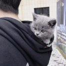 饭卡