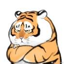 哇哇哇