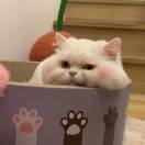 ！