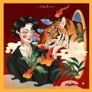 🌈🐼家养小熊猫🐼🌈