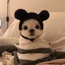 没有腹肌不改名