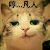 临渊