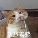 Lober