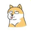 十二