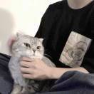 。。。