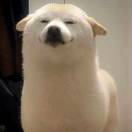 钢镚