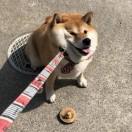 OY－叶文栋
