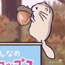 锦鲤求连胜