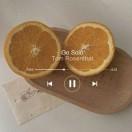 蜉蝣潮生