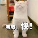 艾丽塔佛兰德