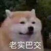 丒鼬