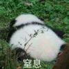 ( ＇-＇ )ノ)`-＇ )