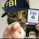 美国联邦调查局(FBI）