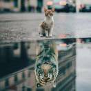 唐僧洗头爱飘柔