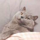 项